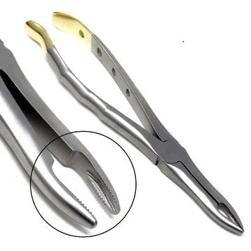 EXTRACTING Forceps #23 HOLE HANDLE TEFLON GOLD