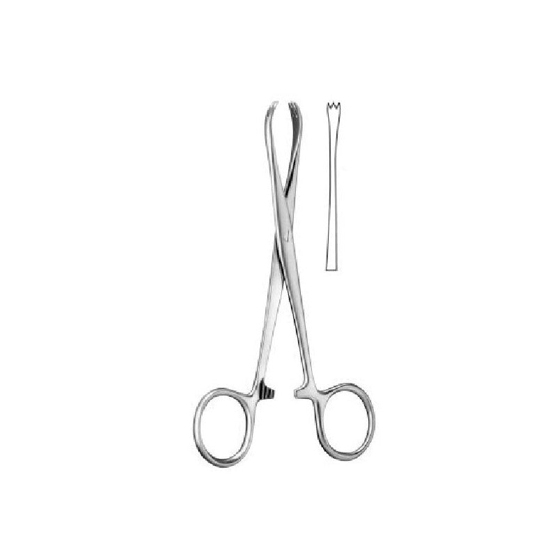 Chaput Tissue Forceps