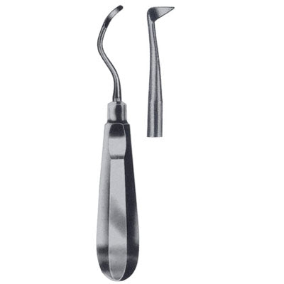 Seldin Root Elevator