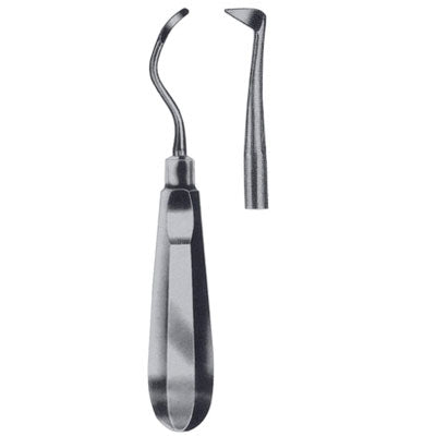 Seldin Root Elevator