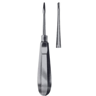 Seldin Root Elevator