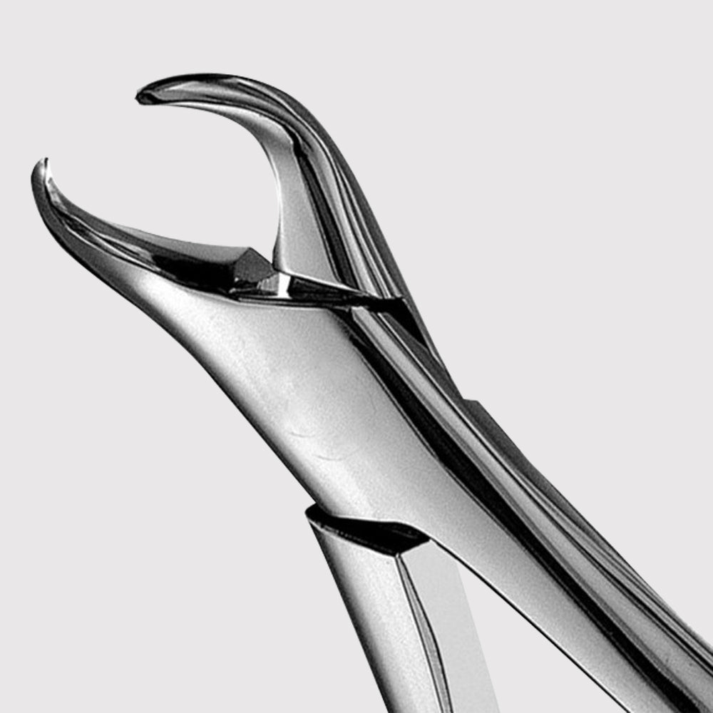 23 Lower Molar Forceps, #23 Lower