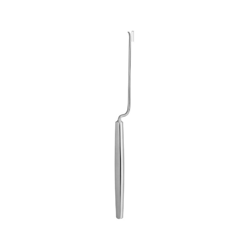 Rosen Ear Raspatories