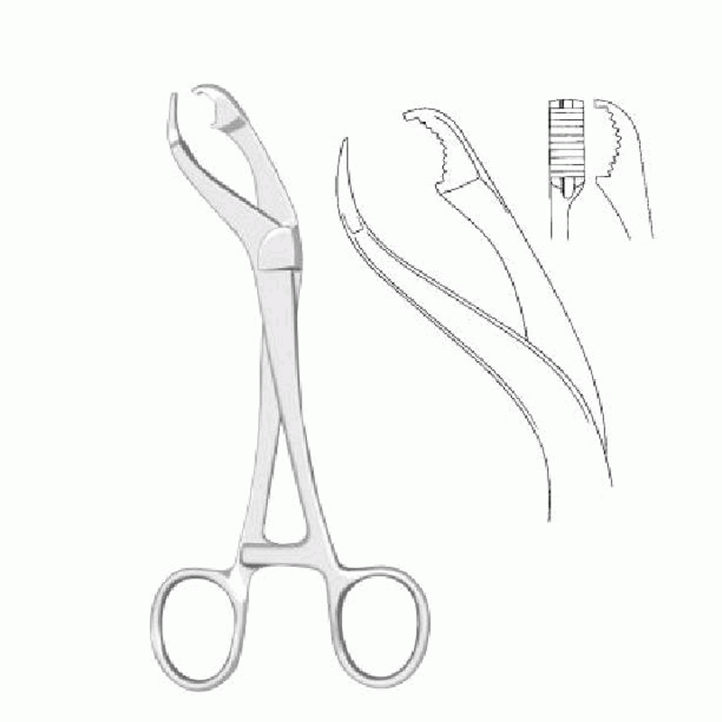 Verbrugge Bone Holding Forceps
