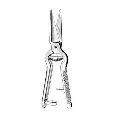 Instruments for Dog's Care - Special Scissors