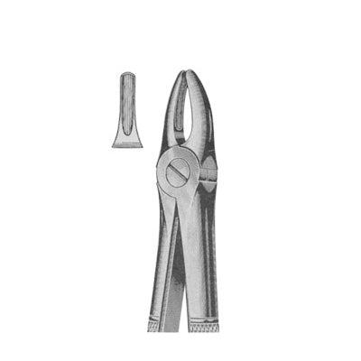 Extracting Forceps English Pattern