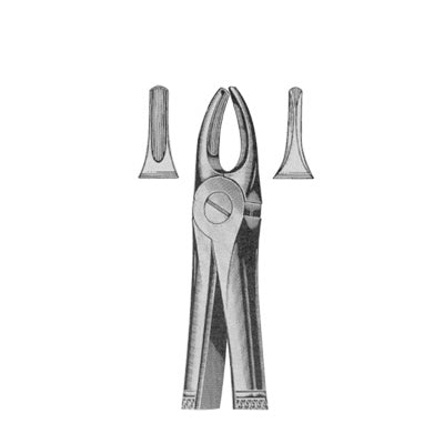 Extracting Forceps English Pattern