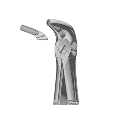 Extracting Forceps English Pattern