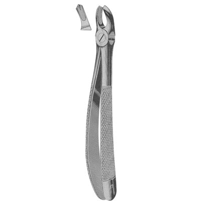 Extracting Forceps English Pattern