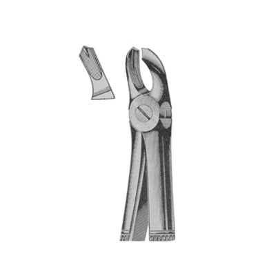 Extracting Forceps English Pattern