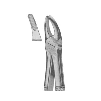 Extracting Forceps English Pattern