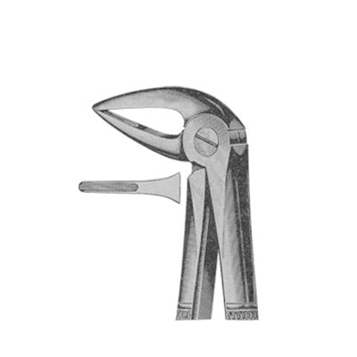 Extracting Forceps English Pattern