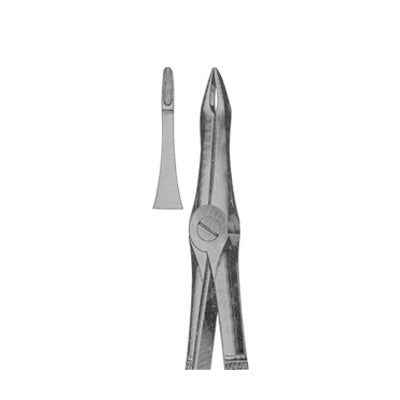 Extracting Forceps English Pattern