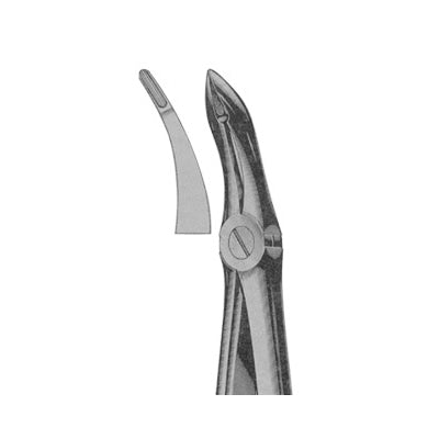 Extracting Forceps English Pattern