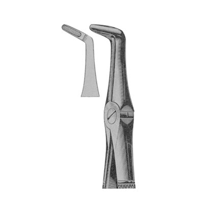 Extracting Forceps English Pattern