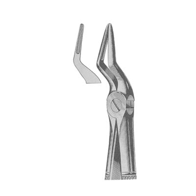 Extracting Forceps English Pattern