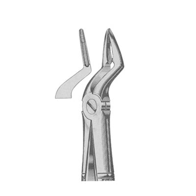 Extracting Forceps English Pattern