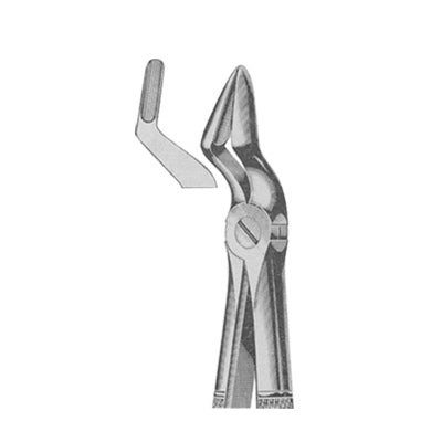 Forceps Design Extracting Forceps English Pattern – Surgical Design Shop