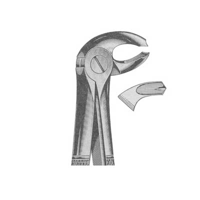 Extracting Forceps English Pattern