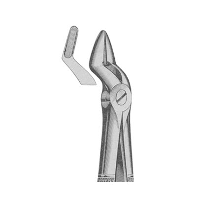 Extracting Forceps English Pattern