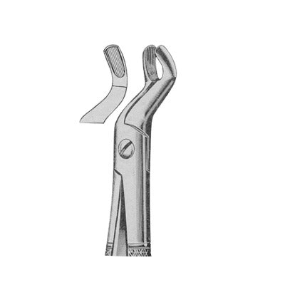 Extracting Forceps English Pattern