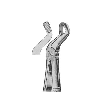 Extracting Forceps English Pattern