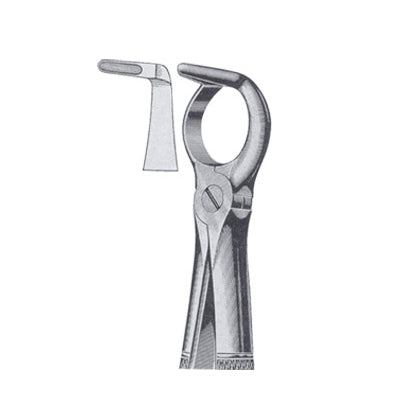 Extracting Forceps English Pattern