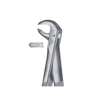 Extracting Forceps English Pattern
