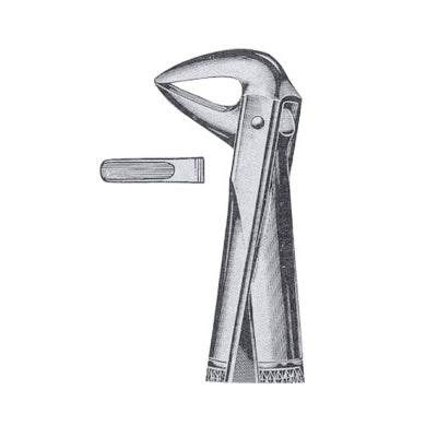 Extracting Forceps English Pattern