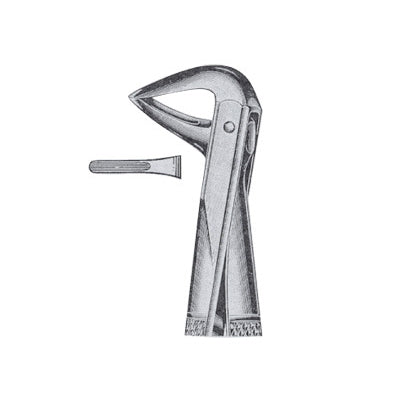 Extracting Forceps English Pattern