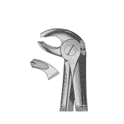 Forceps Design Extracting Forceps English Pattern – Surgical Design Shop