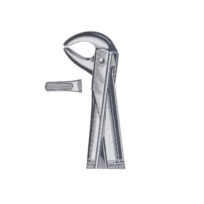 Extracting Forceps English Pattern