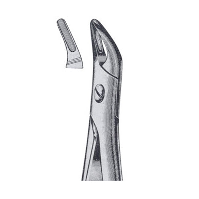 Extracting Forceps English Pattern
