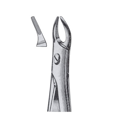 Extracting Forceps English Pattern