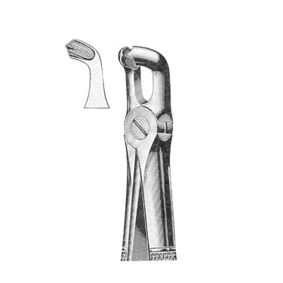 Extracting Forceps English Pattern