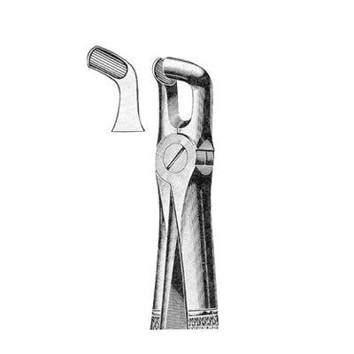 Extracting Forceps English Pattern