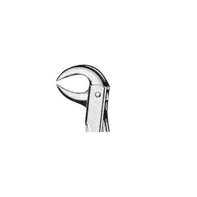 Extracting Forceps English Pattern