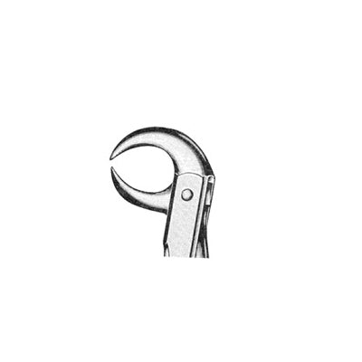 Extracting Forceps English Pattern