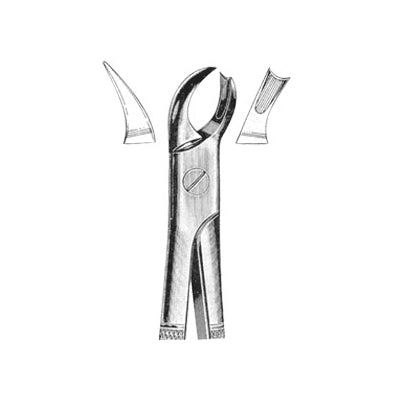 Extracting Forceps English Pattern