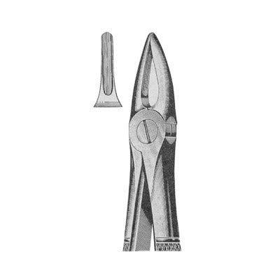 Extracting Forceps English Pattern