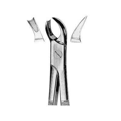 Extracting Forceps English Pattern