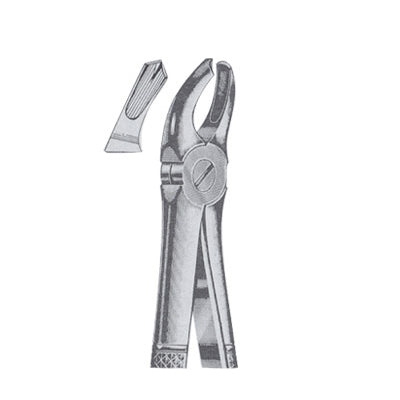 Extracting Forceps English Pattern