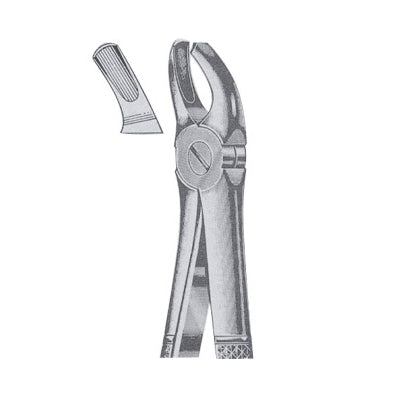 Extracting Forceps English Pattern