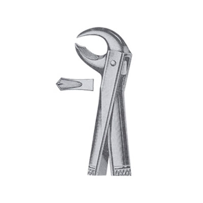 Extracting Forceps English Pattern