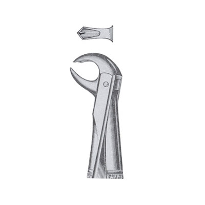 Extracting Forceps English Pattern