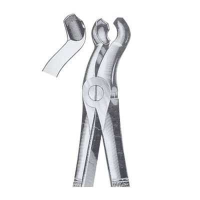 Extracting Forceps English Pattern
