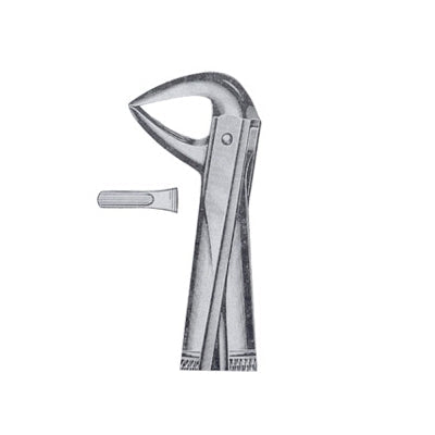 Extracting Forceps English Pattern