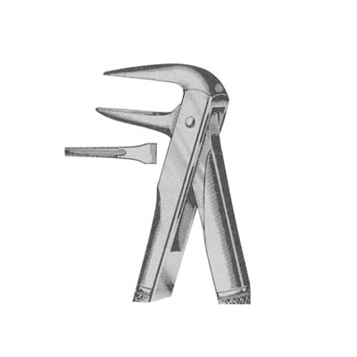 Extracting Forceps English Pattern