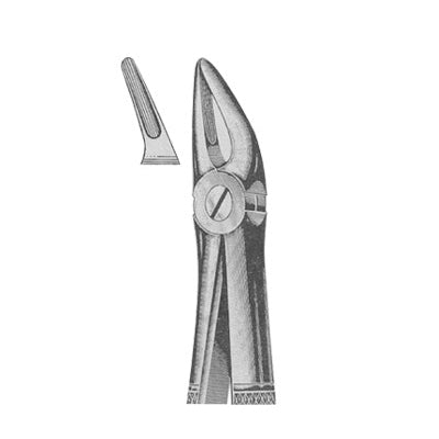 Extracting Forceps English Pattern