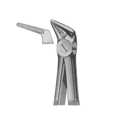 Extracting Forceps English Pattern